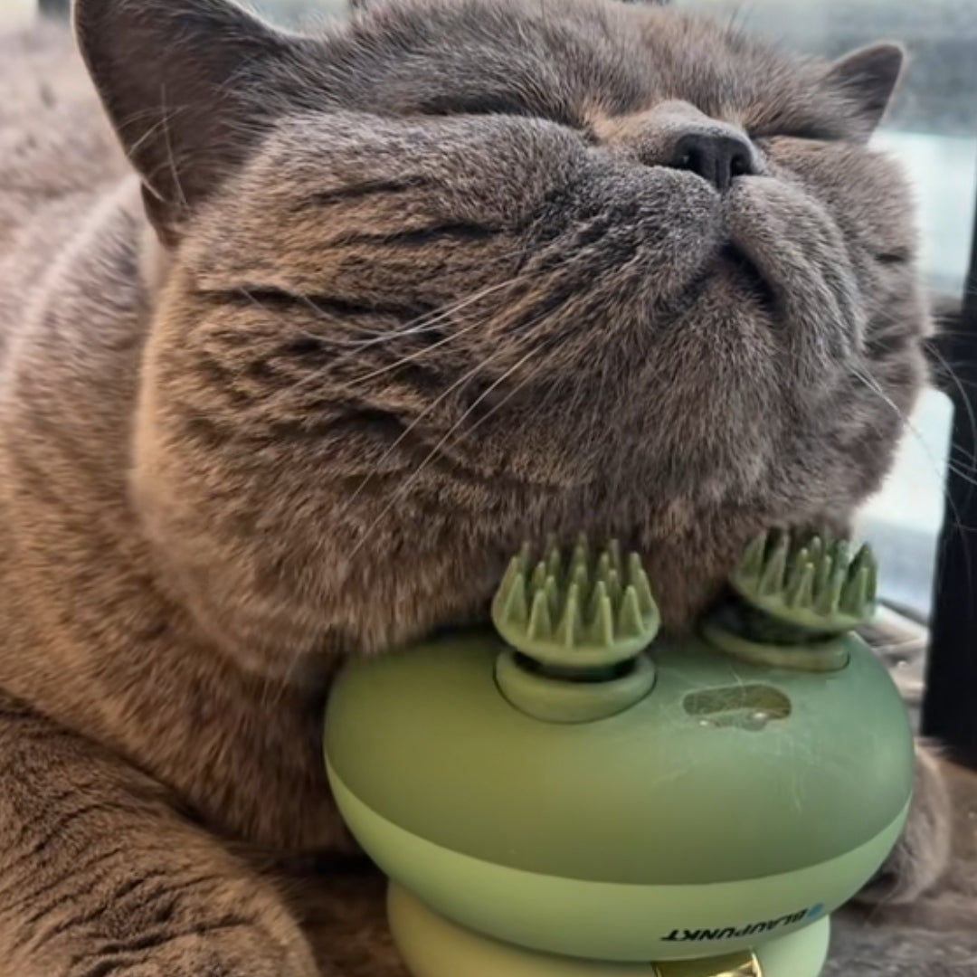 Pet Scalp Head Massager - Cutier Store