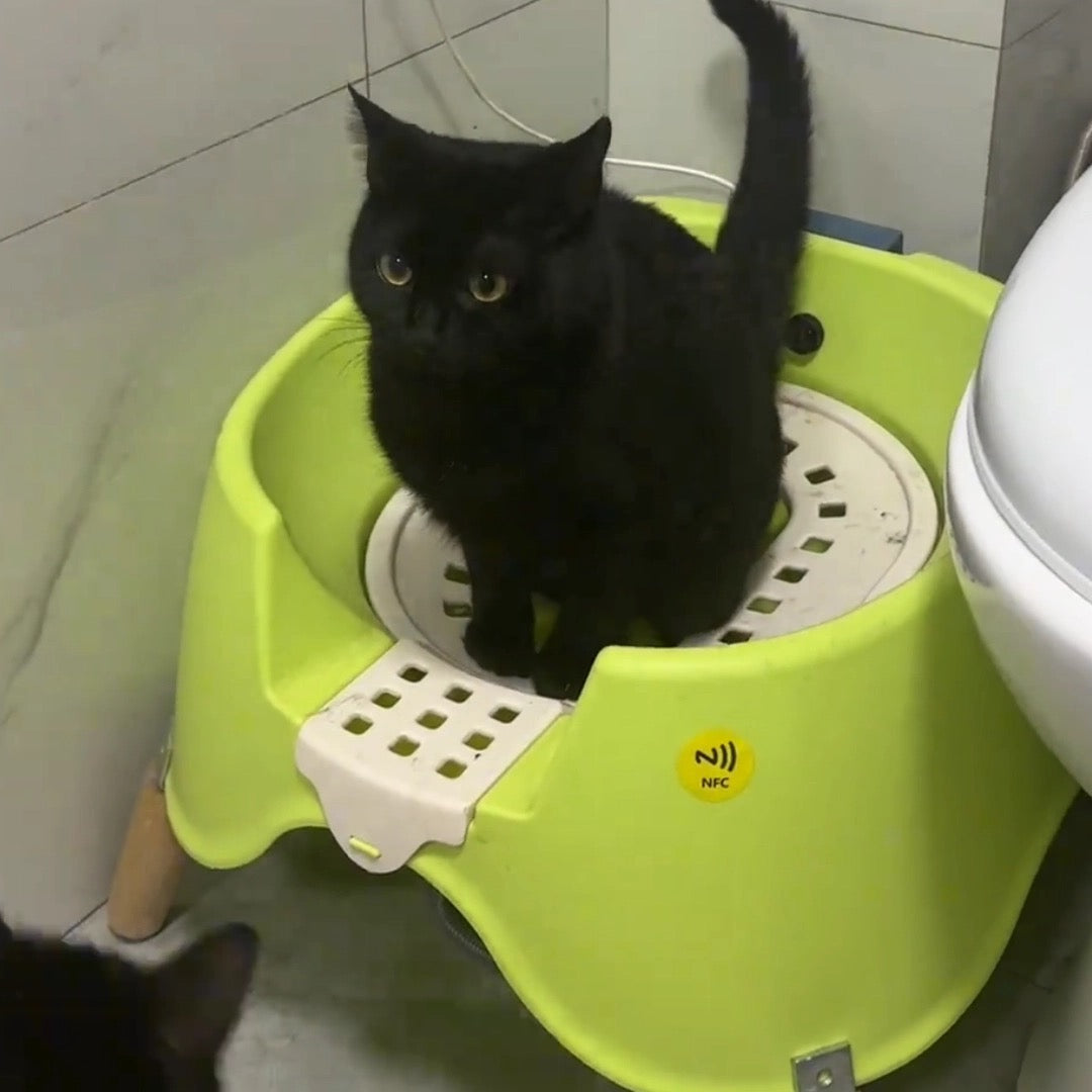 Luxury Automatic Flushing Cat Toilet