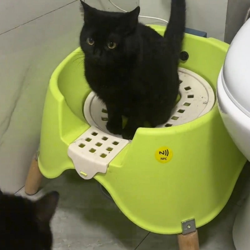 Luxury Automatic Flushing Cat Toilet
