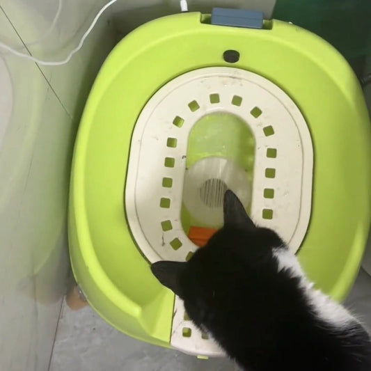 Luxury Automatic Flushing Cat Toilet
