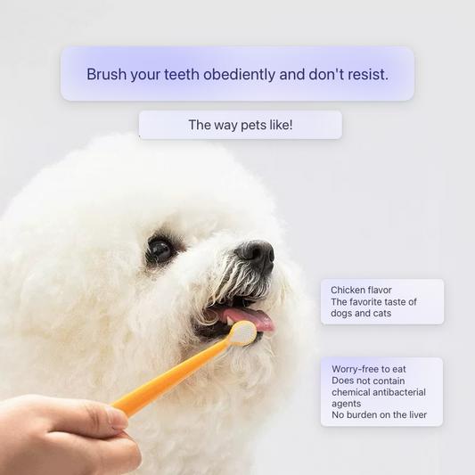 Pet Dental Cleaning Kit