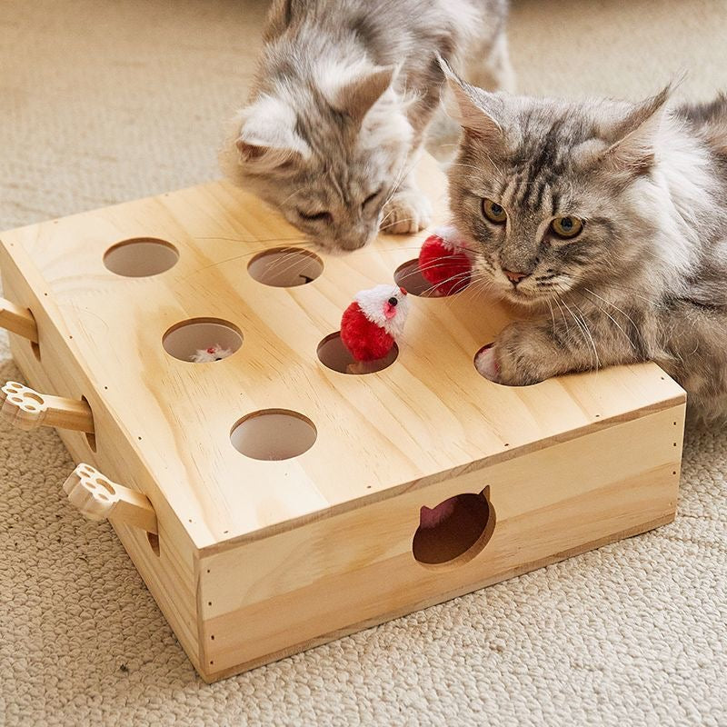 Pet hunting toy box