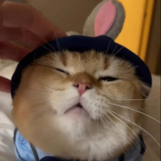 Rabbit police officer cute cat hat Christmas cos hat pet dress up funny cat dog hat zootopia 2