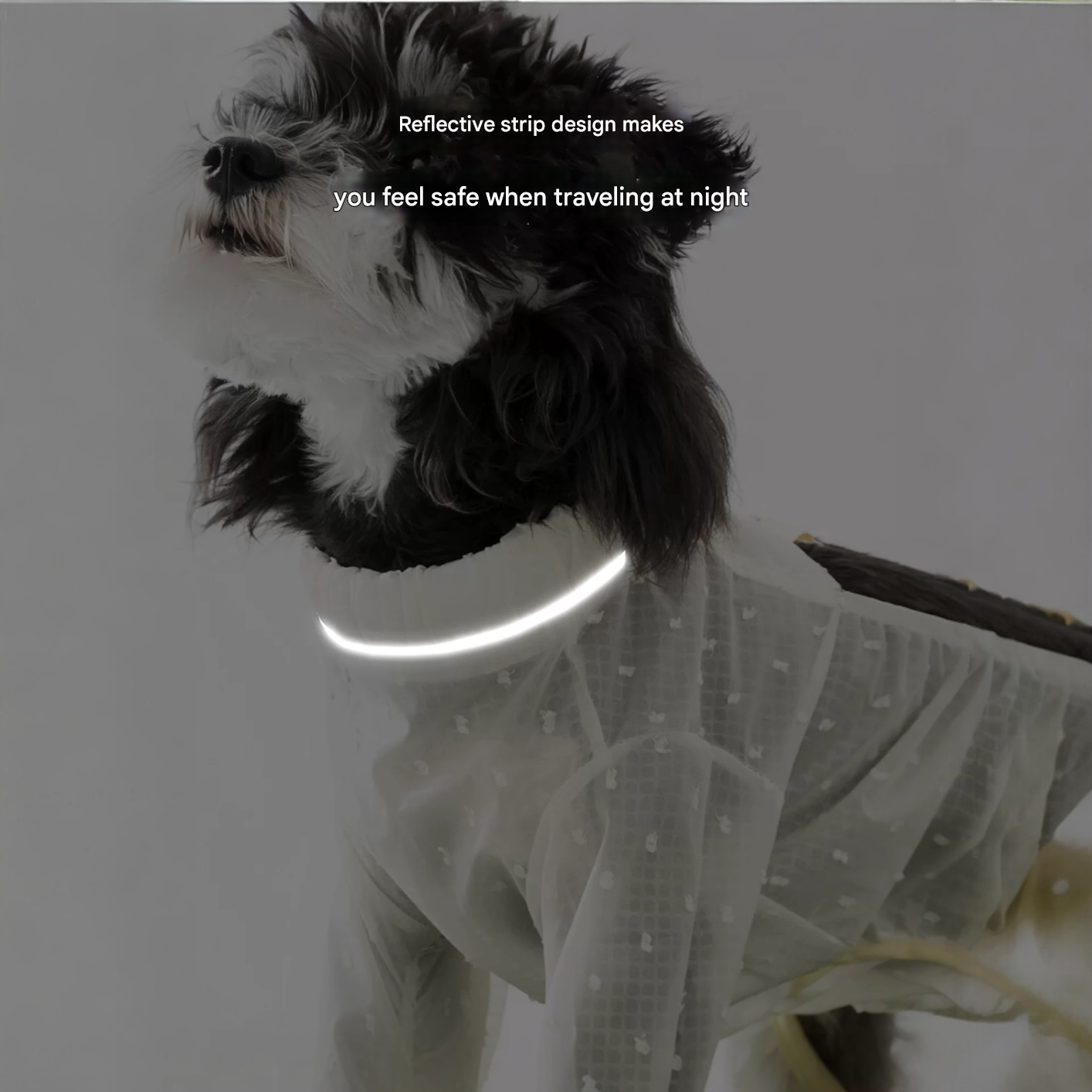 Protective Anti-Dust Dog Pants with Integrated Booties