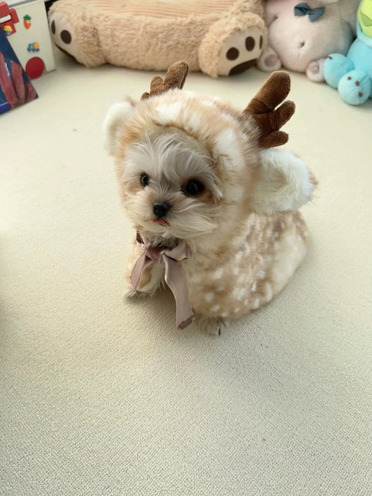 cozy reindeer cape winter Christmas pet outfit