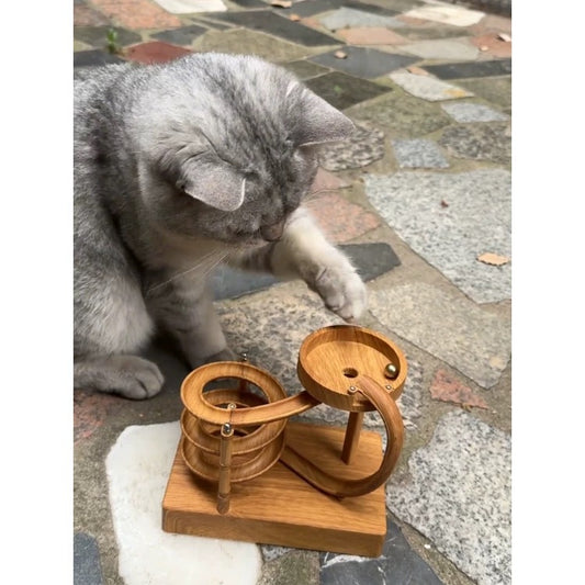 Perpetual Cat Art Interactive Toy