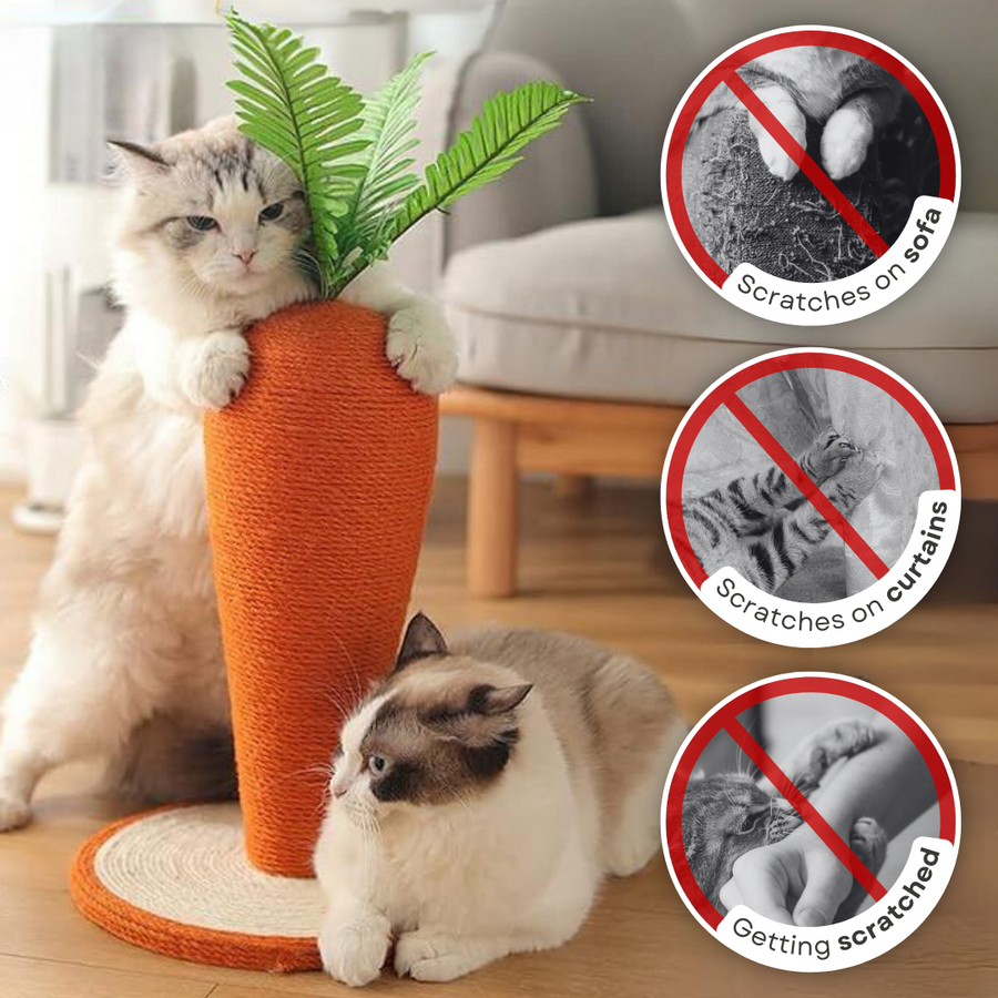 Cute Cat carrot Scratching Post - Cutier Store