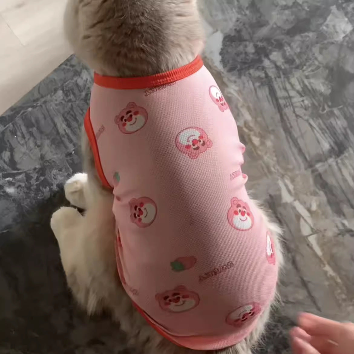 Cat Gold Gradual Spring And Autumn Anti-hair Clothes - Cutier Store