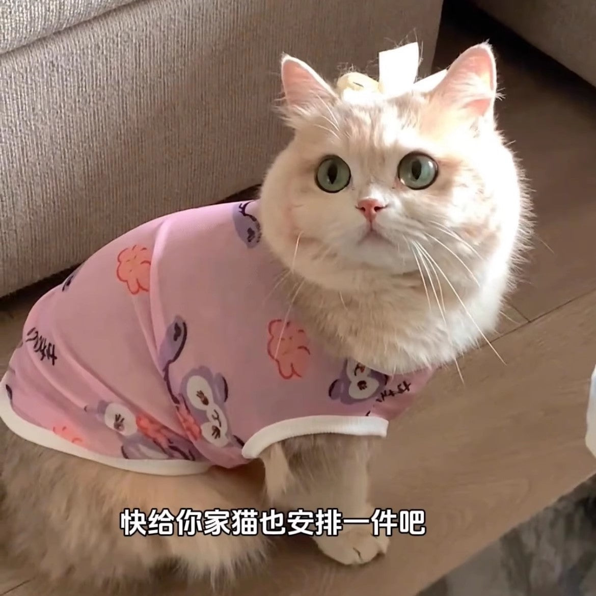 Cat Gold Gradual Spring And Autumn Anti-hair Clothes Xxl Purple rabbit