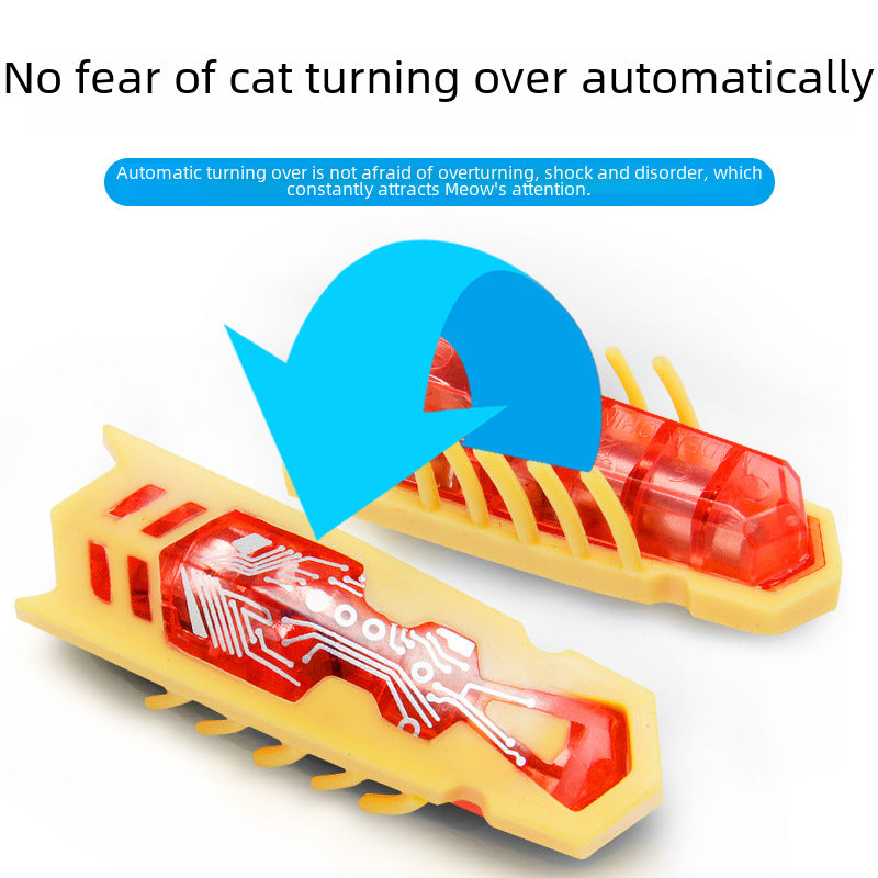 Pet Electronic Insect Bug Cat Toy - Cutier Store