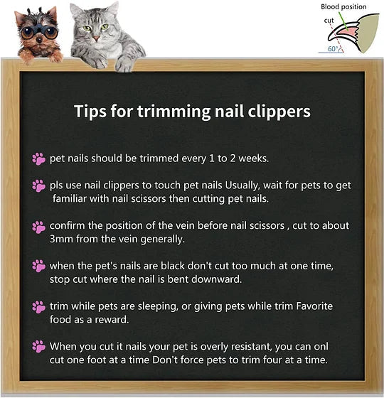 Pet Cat Grooming Brush for Shedding Hair Removal Tool - Cutier Store