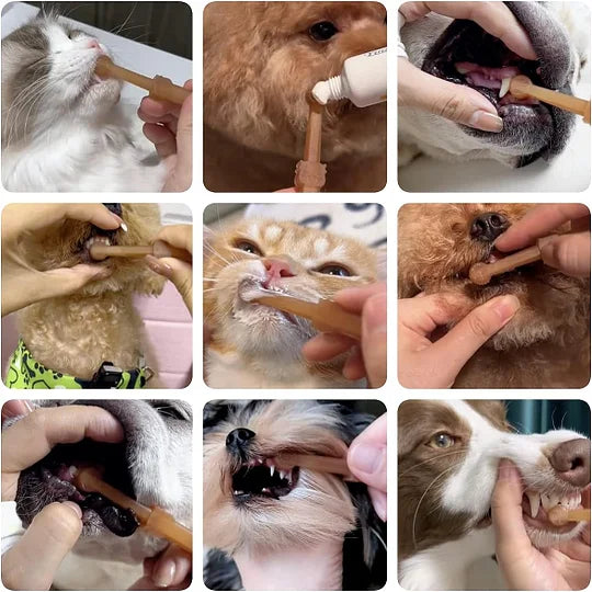 Pet Toothbrush, Pet Silicone Toothbrush Cat & Dog Tooth Brushing Kit with Storage Cup - Cutier Store