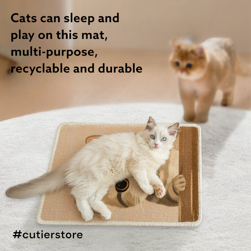 Cute Pet Scratching Board Decorating Wall Paint - Cutier Store