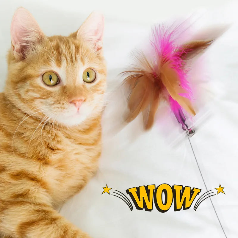 Cat Feather collar amusing stick - Cutier Store