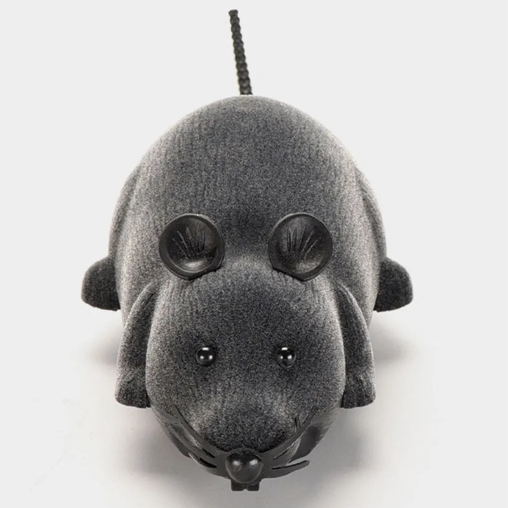 Robotic Cat mouse Toy - Cutier Store