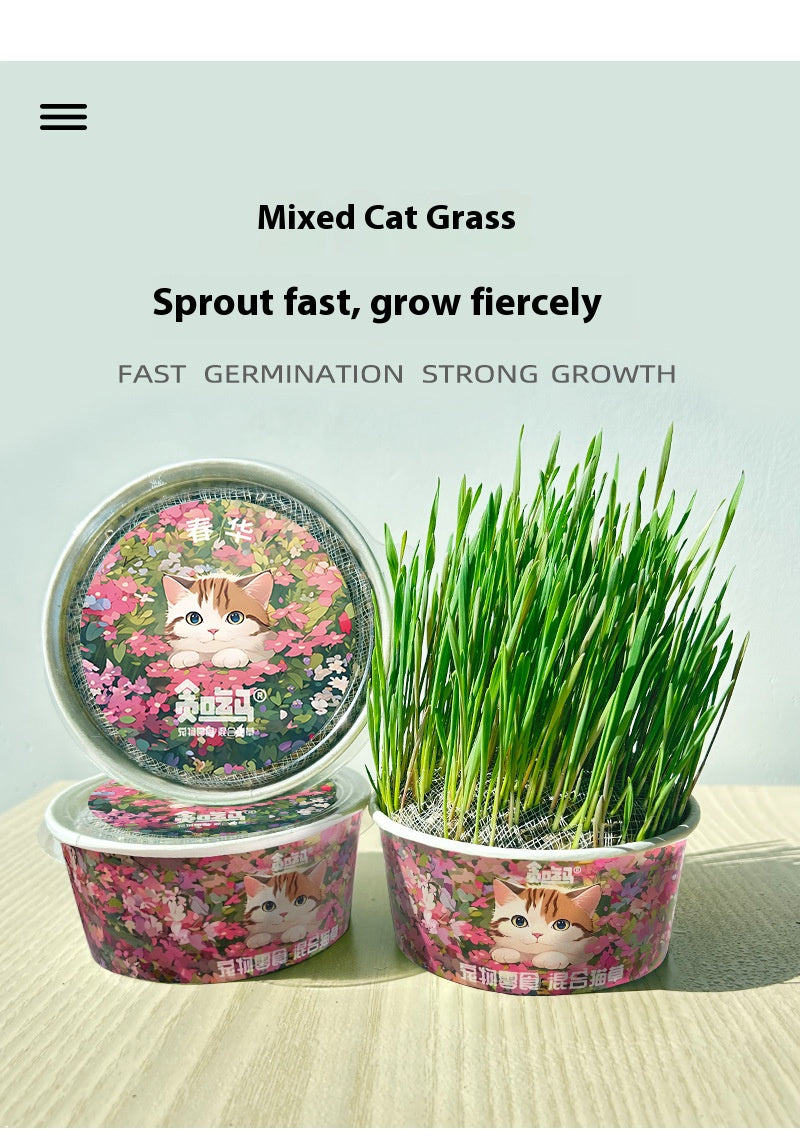 Organic cat Grass - Cutier Store