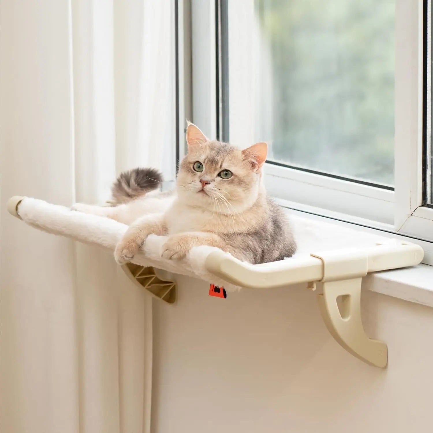 Cutier Cat window Hammock - Cutier Store