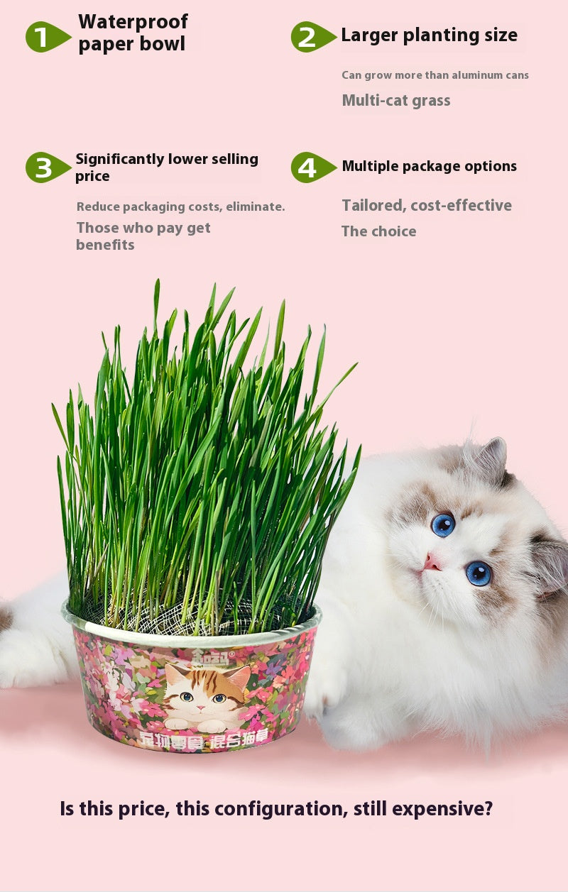 Organic cat Grass - Cutier Store