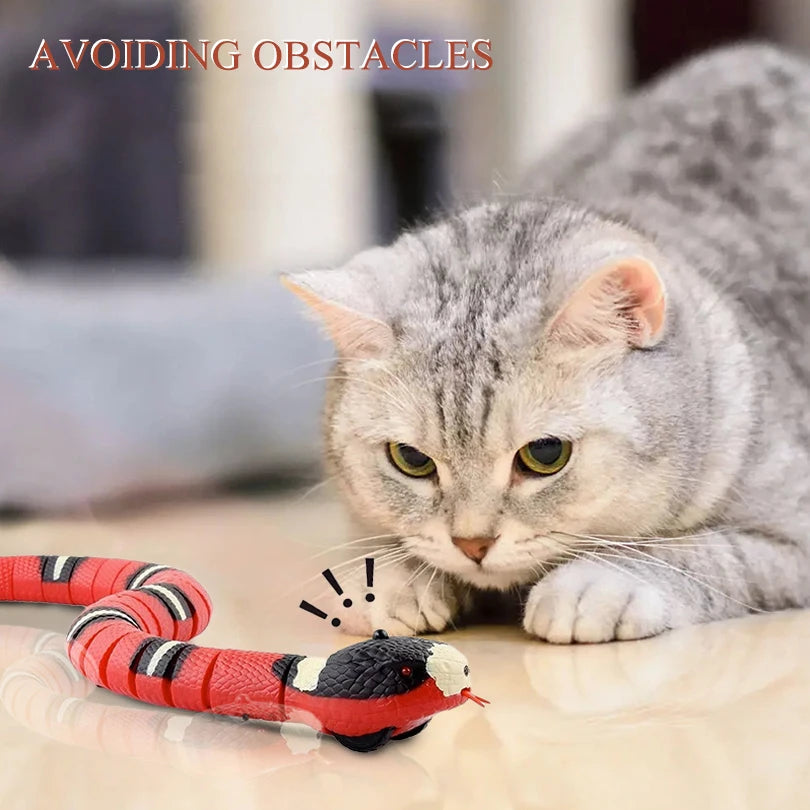 Smart Gravity Cat Toy Car – Interactive Automatic Moving Mouse - Cutier Store