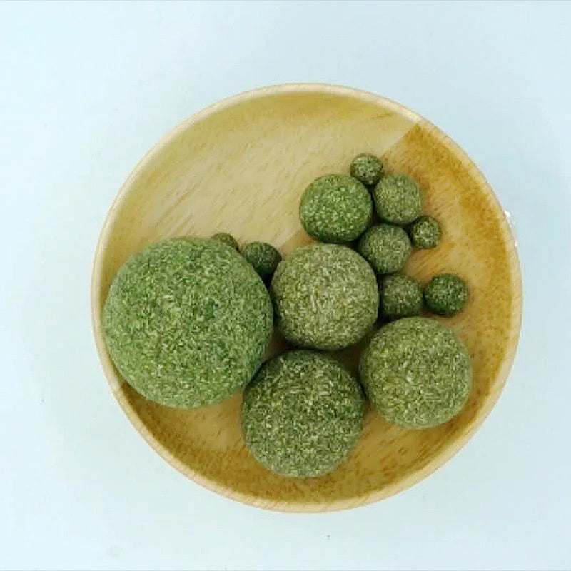 Edible Catnip Ball – Fun, Healthy & Digestive Treat for Cats - Cutier Store