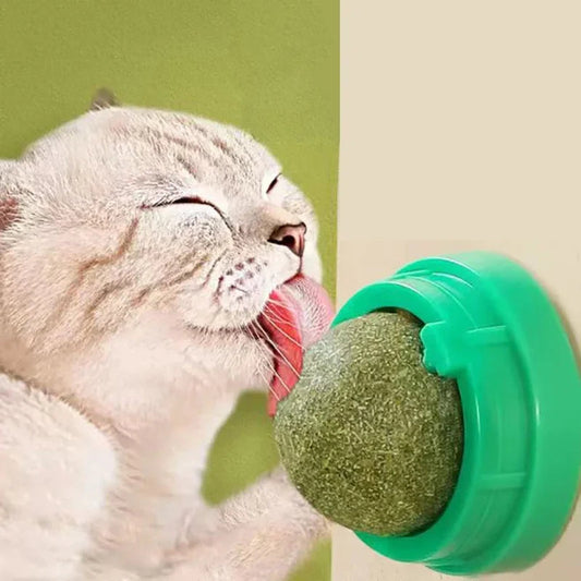Catnip Wall Stick-On Ball – Healthy Cat Treat & Playtime in One! - Cutier Store