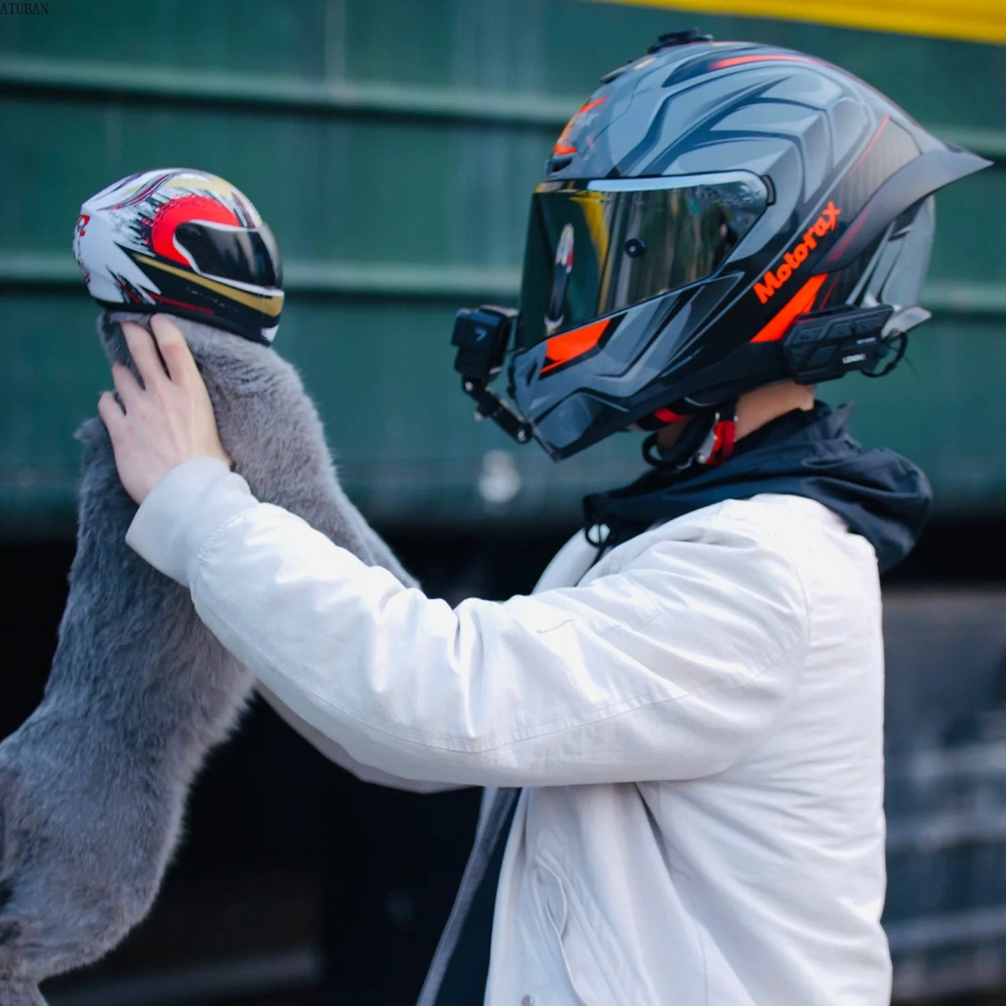 Cute Pet Helmets, Cat ,Dog Helmet - Cutier Store