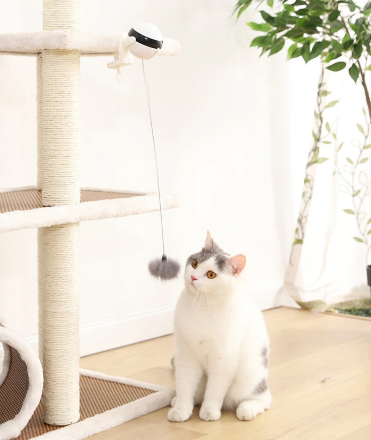 Automatic Retractable Teasing Ball - Cutier Store