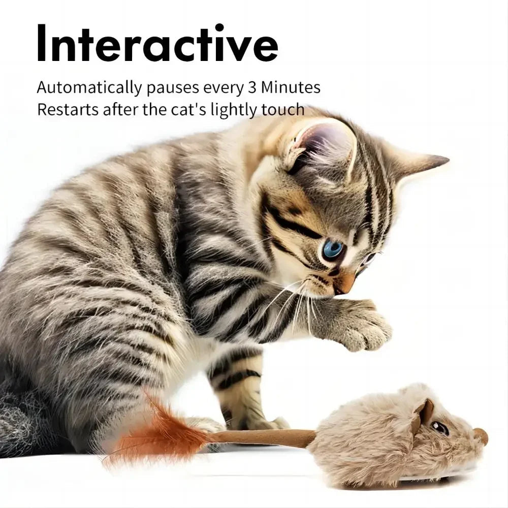 Rechargeable Moving Mouse Cat Toy – Interactive Sound & Motion for Kittens - Cutier Store