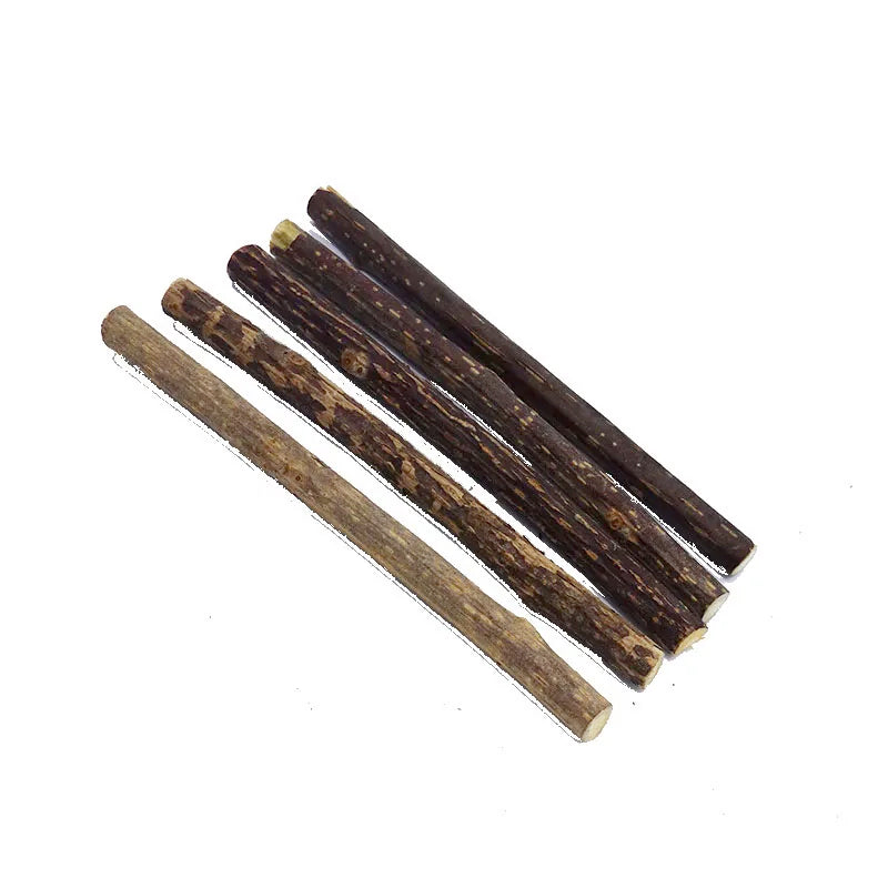 Natural Silvervine Catnip Chew Sticks – Healthy Dental Treat for Cats - Cutier Store