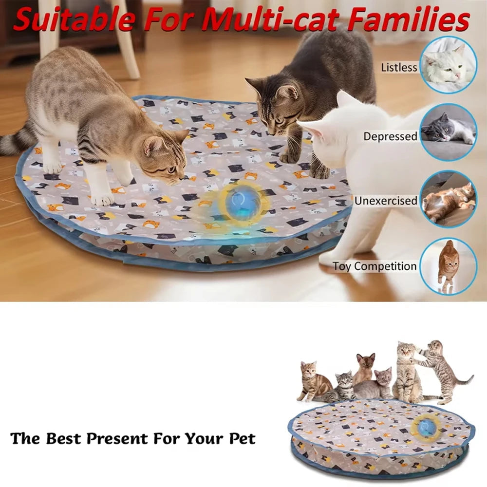 Smart Motion-Activated Cat Toy – Fast Rolling Hide & Seek Ball - Cutier Store