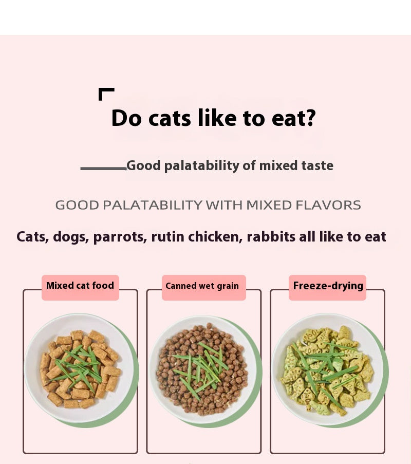 Organic cat Grass - Cutier Store