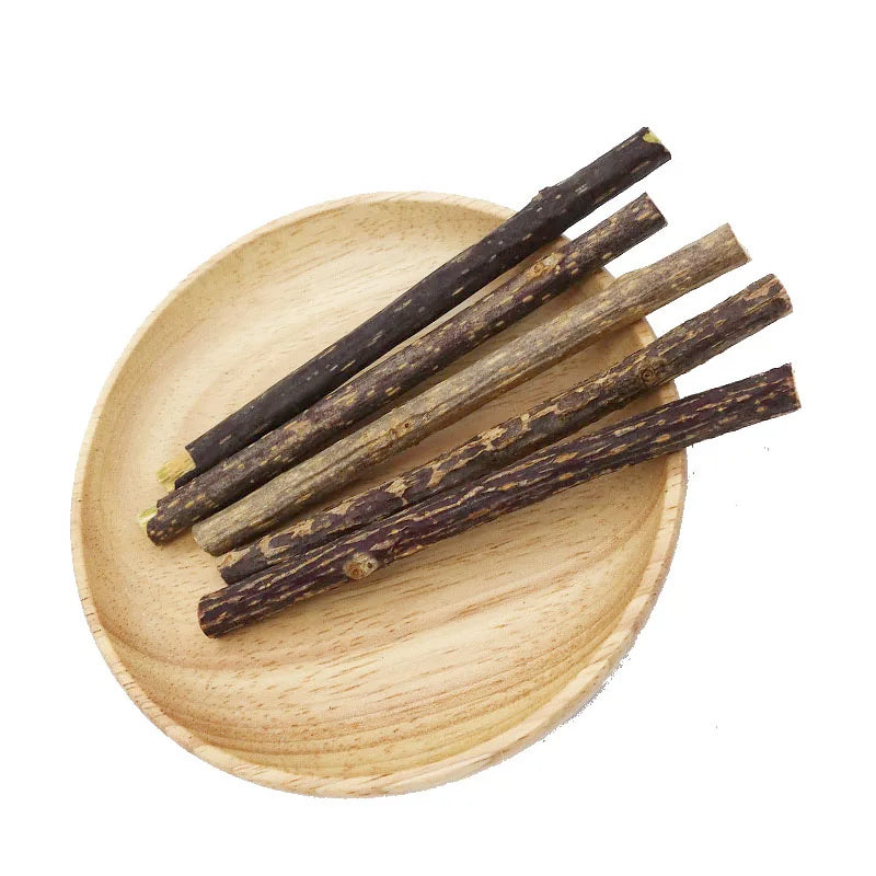 Natural Silvervine Catnip Chew Sticks – Healthy Dental Treat for Cats - Cutier Store