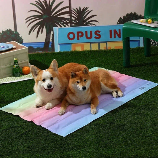 Summer Pet Ice Cooling Bed Mat - Cutier Store
