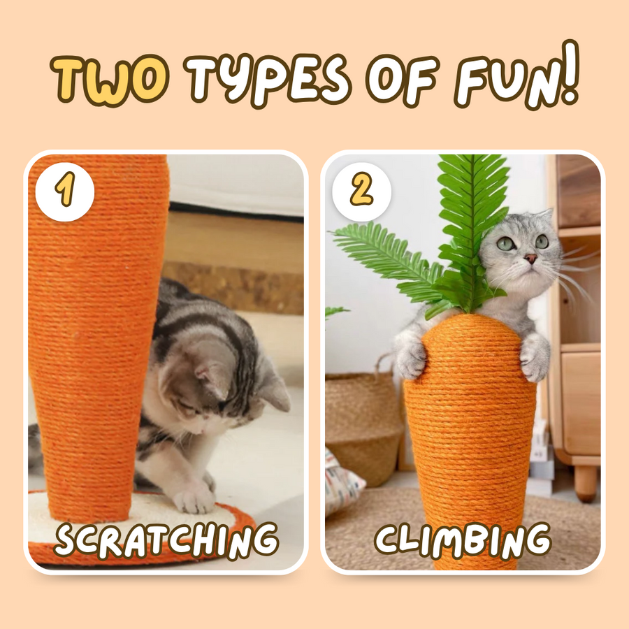 Cute Cat carrot Scratching Post - Cutier Store