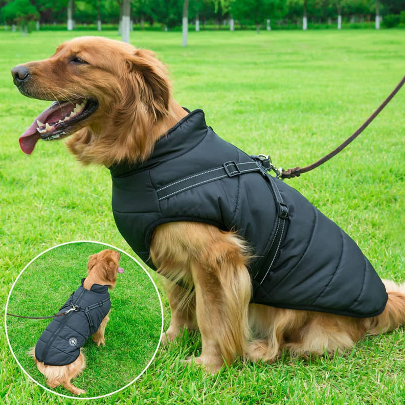 CatsStore® Dog Winter Jacket With Harness - Cutier Store