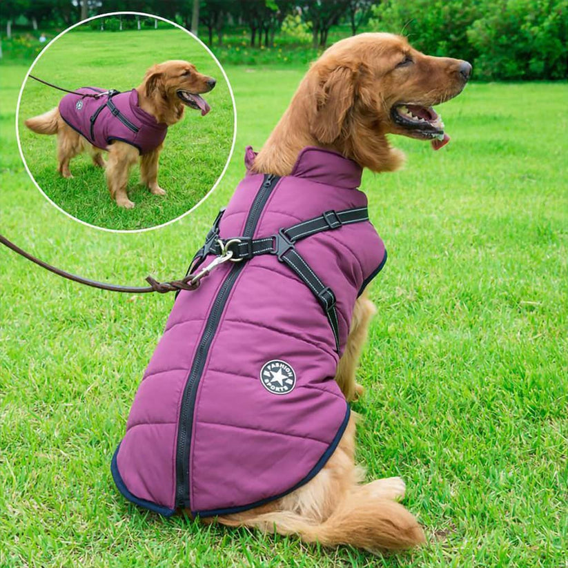 CatsStore® Dog Winter Jacket With Harness - Cutier Store