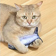 Flopping Fish 7.5" Electric Moving Cat Kicker Toy - Cutier Store