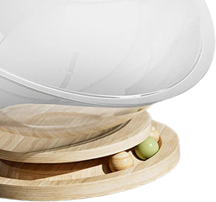 Space Capsule Cat Bed Transparnt Cat House - Cutier Store