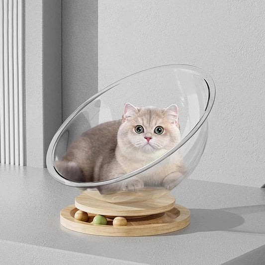 Space Capsule Cat Bed Transparnt Cat House - Cutier Store