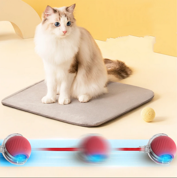 Smart Cat Interactive Ball Chug Ball Self rolling Cat tut-tut Ball - Cutier Store