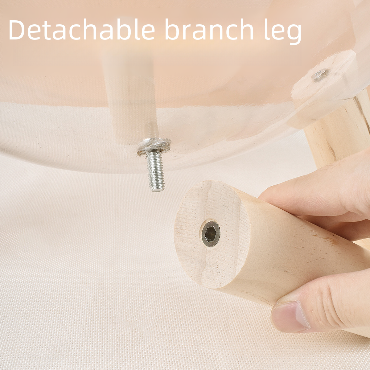 Cat Transparent Space Capsule - Cutier Store