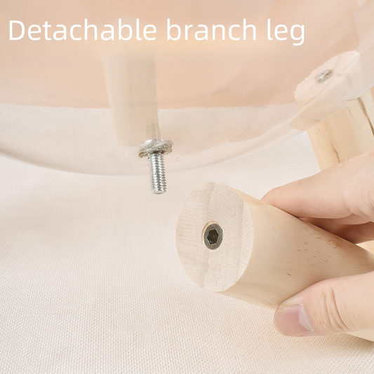 Cat Transparent Space Capsule - Cutier Store