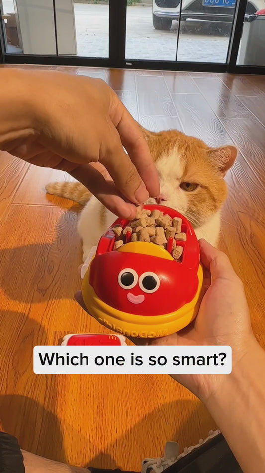 Bumper Car Treat Dispenser – Cat Feeding Toy