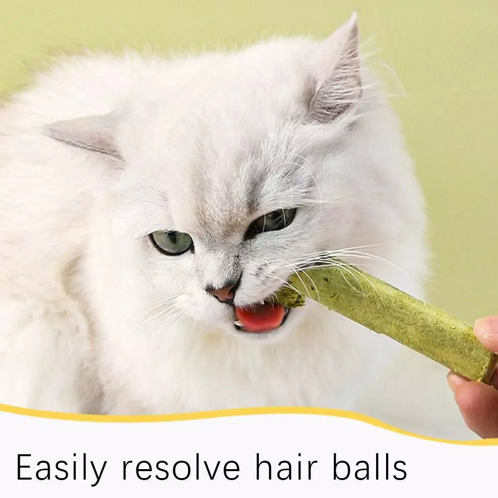 Drying Cat Grass sticks - Cutier Store