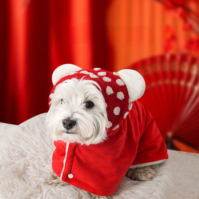 Pet blanket dress - Cutier Store