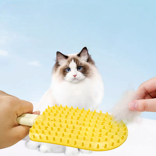 Pet Ice cream Brush / Lollipop shape Comb - Cutier Store