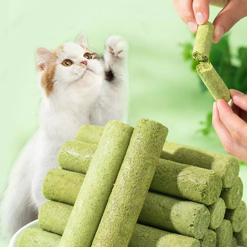 Drying Cat Grass sticks - Cutier Store