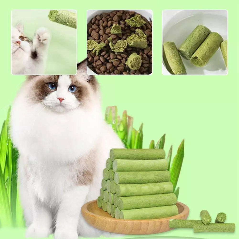 Drying Cat Grass sticks - Cutier Store
