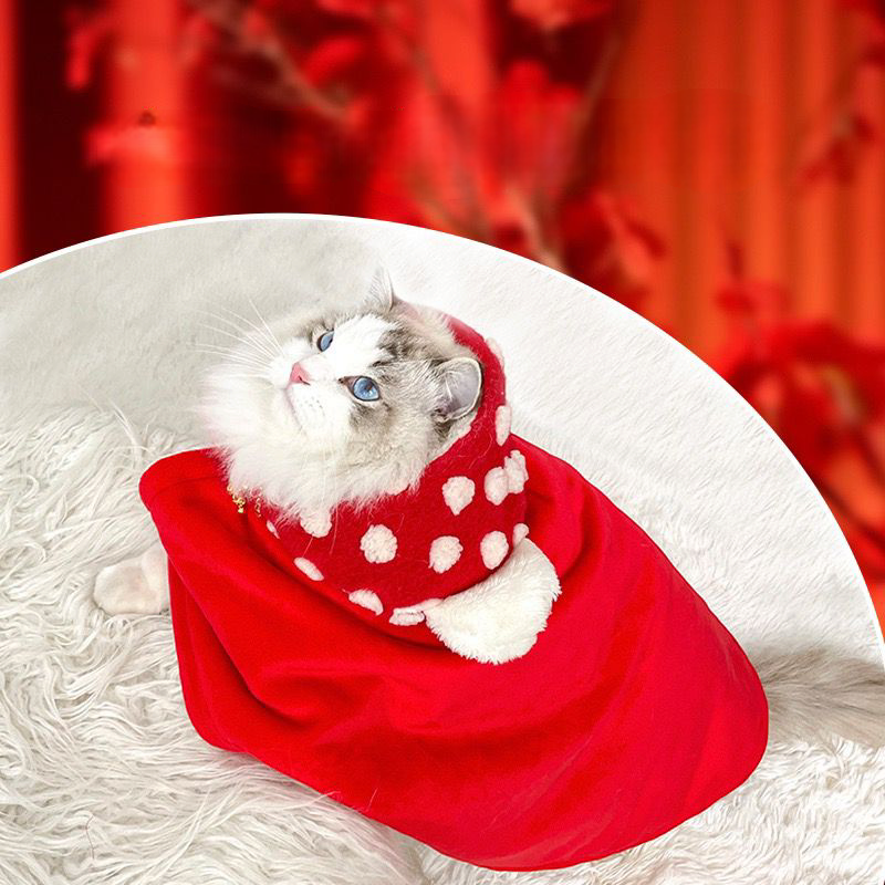 Pet blanket dress - Cutier Store