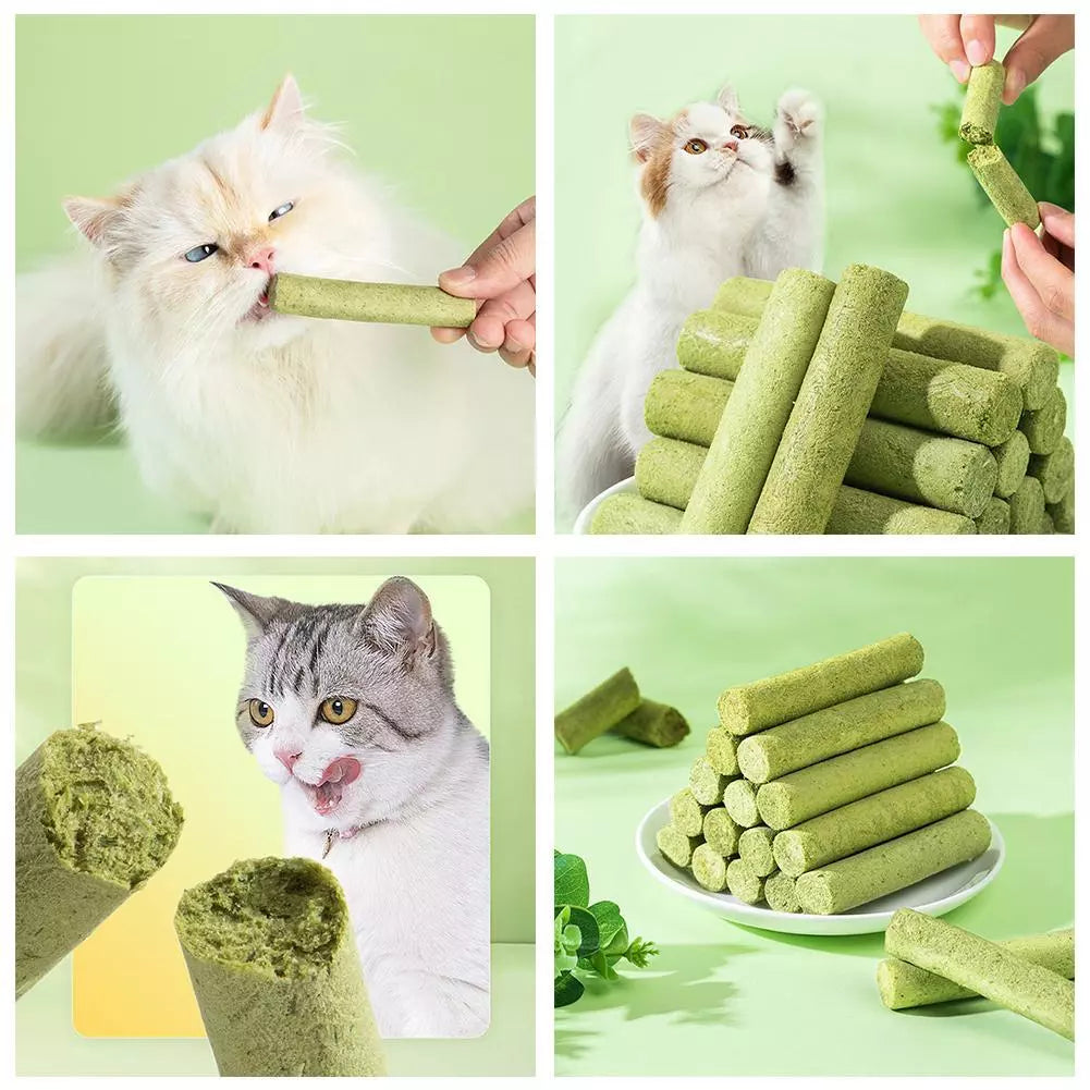 Drying Cat Grass sticks - Cutier Store